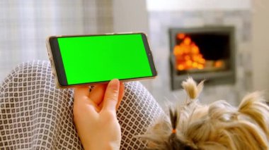 Kadın cep telefonuyla sevimli pofuduk köpek arkadaşını okşayan videolar izliyor. Ev sahibi ve evcil hayvan, yanan şömineye karşı kanepede oturur.
