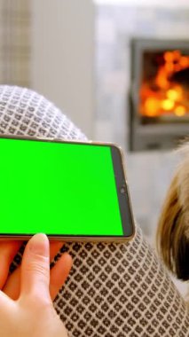 Düzgün manikürlü bir kadın akıllı telefonuyla koltukta pofuduk bir köpeğin yanında oturuyor. Kadın, yanan şömine karşısında hafta sonunun keyfini çıkarıyor.