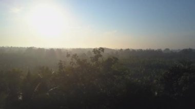 Sabahın erken saatlerinde Udawalawe Ulusal Parkı 'nda açık mavi gökyüzünde parlak güneş ışığı. Hava görüntüsünde gün doğumu