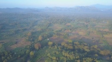 Udawalawe Ulusal Parkı. Gün doğumunda uzak dev dağların yakınında yemyeşil ağaçlar var. Sabahın erken saatlerinde Sri Lanka 'da doğal koruma