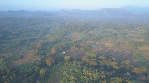 Udawalawe Nemzeti Park Buja Fák Közelében Távoli Óriás Hegyek Napkeltekor — Stock videók