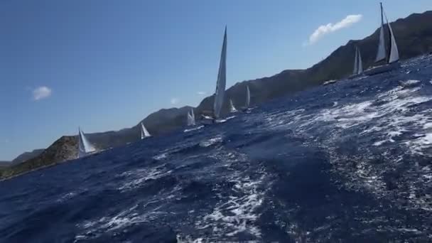 Navegando no vento através das ondas (HD ) — Vídeo de Stock