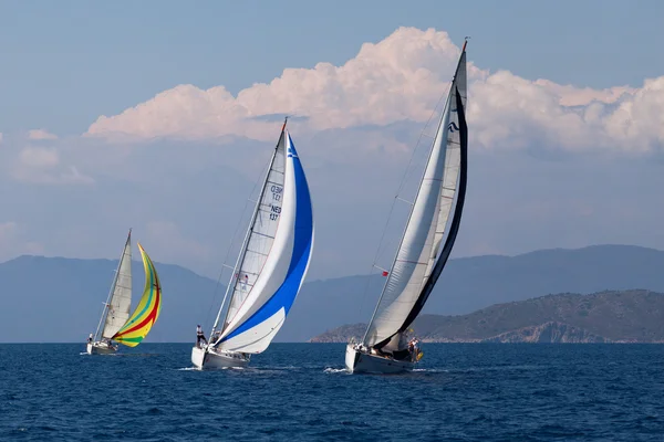 Båtar konkurrenter under segling regatta segel och roliga trophy 2012 — Stockfoto