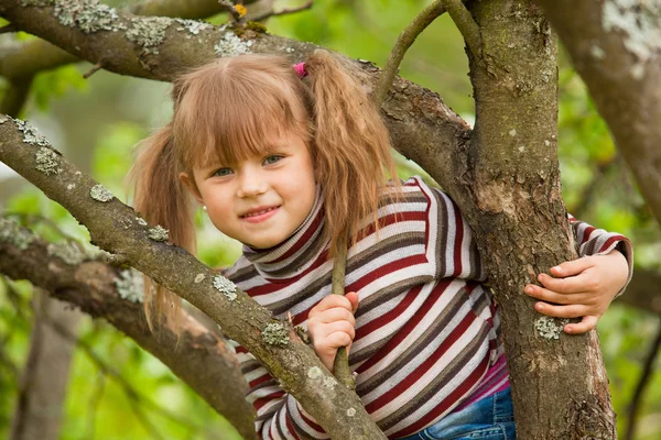 Divertido encantadora niña posando sentado en un árbol en el jardín —  Fotos de Stock