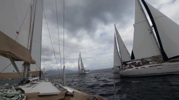 Vitorlás regatta, sail & szórakoztató trófea — Stock videók