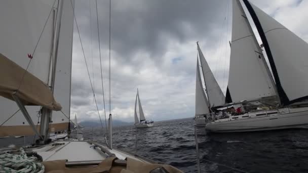 Regata de vela Vela & Fun Trophy — Vídeo de Stock