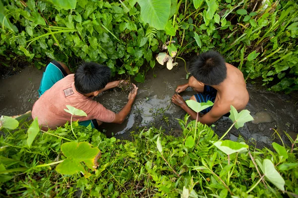 I bambini poveri prendono il piccolo pesce in un fosso vicino a una risaia — Foto Stock