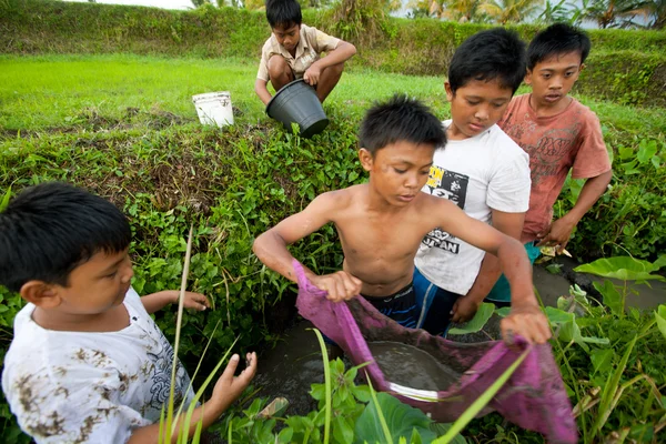 Arme Kinder fangen kleine Fische in einem Graben nahe einem Reisfeld — Stockfoto