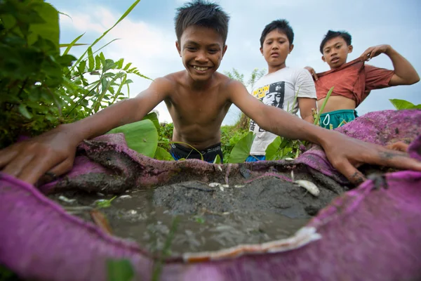 I bambini poveri prendono il piccolo pesce in un fosso vicino a una risaia — Foto Stock