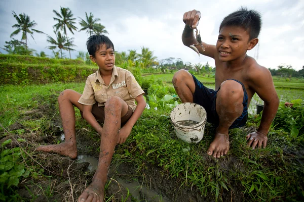 Des enfants pauvres attrapent des petits poissons dans un fossé près d'une rizière — Photo