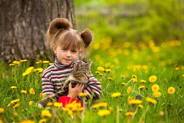 Meisje speelt met een kat in het park — Stockfoto