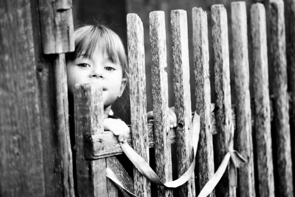 Linda criança de pé perto de cerca rural vintage — Fotografia de Stock
