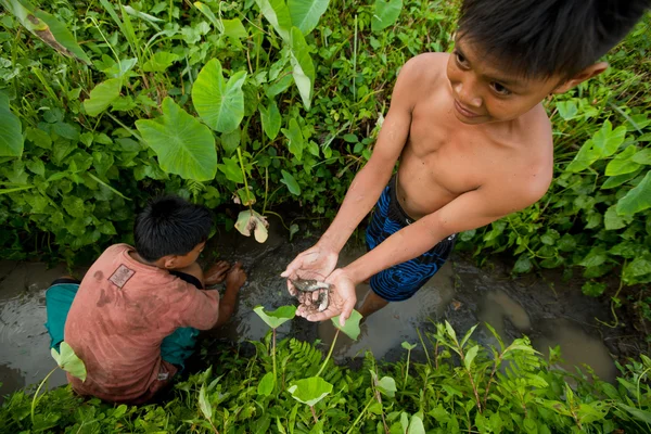 Criança pobre pega pequeno peixe em uma vala perto de um campo de arroz — Fotografia de Stock