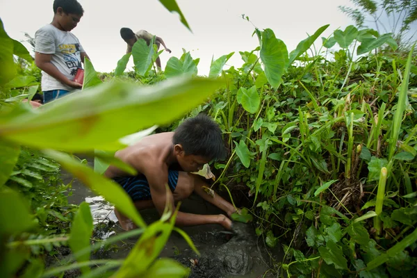 Criança pobre pega pequeno peixe em uma vala perto de um campo de arroz — Fotografia de Stock