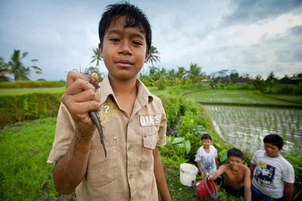 Il bambino povero prende il piccolo pesce in un fosso vicino a una risaia — Foto Stock