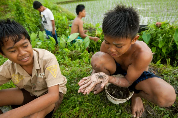 Il bambino povero prende il piccolo pesce in un fosso vicino a una risaia — Foto Stock