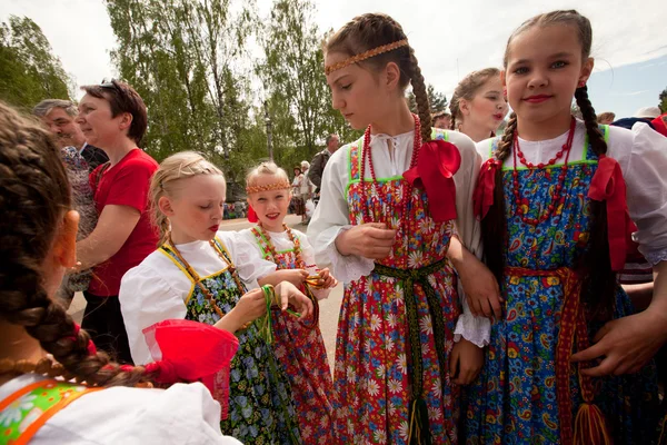 Праздничное Вепсское национальное древо жизни — стоковое фото