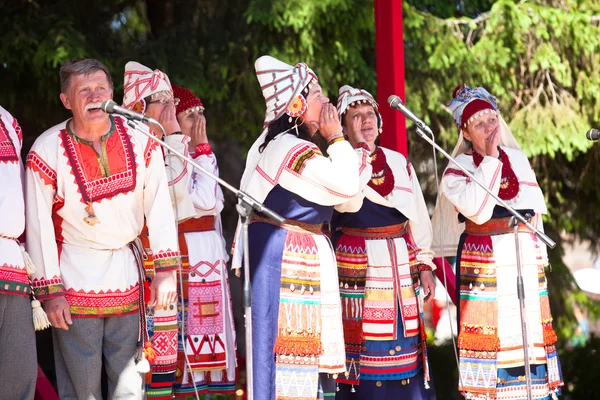 Vacanță Cultura națională Vepsiană Copacul Vieții — Fotografie, imagine de stoc