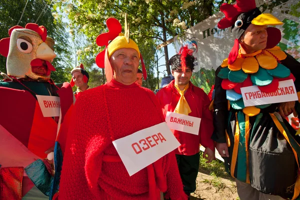 Holiday vepsian nationell kultur livets träd — Stockfoto