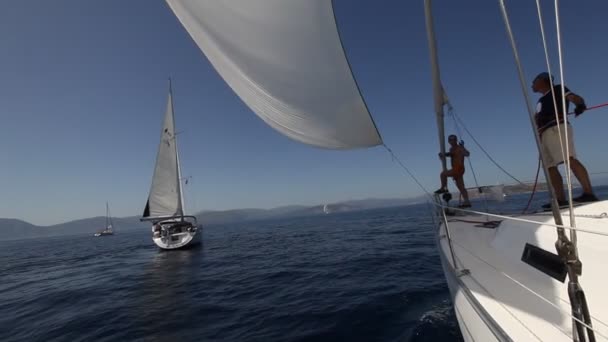 Yelken yarışı viva Yunanistan 2012 — Stok video