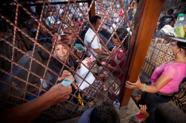 Ubud, bali - 27 Mart: 27 Mart 2012 Bali, Endonezya geleneksel balinese horoz dövüşü yarışma sırasında. horoz dövüşü şimdi ABD, Brezilya, Avustralya ve Avrupa çapında yasal değil.