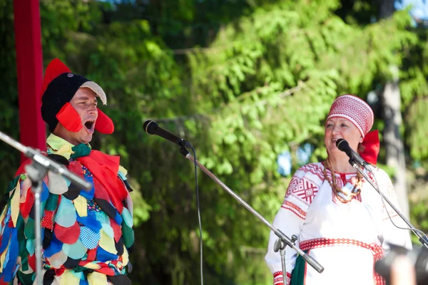 Vepsian національної культури Древо життя — стокове фото