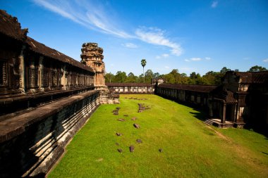 angkor görünümünü thom tapınak kompleksi angkor wat, cambodia