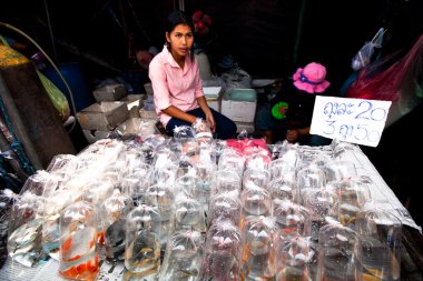 Bangkok - 24 Nisan: Tanımlanamayan satıcı salonu Chatuchak Hafta sonu Market