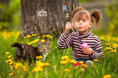 sevimli küçük kız ve sabun köpüğü üfleme bir kedi