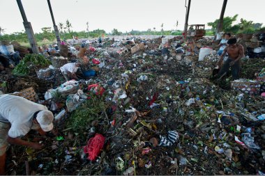 Bali, Endonezya olmak-Nisan 11: yoksul Java Adası bir çöpe 11 Nisan 2012 tarihinde bali, Endonezya atma olarak çalışıyor. Bali, her gün 10.000 metreküp atık üretilen.