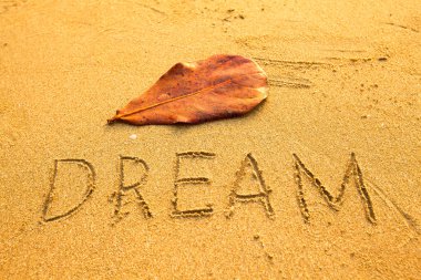 Doku kum üzerinde: Yazıtı Dream