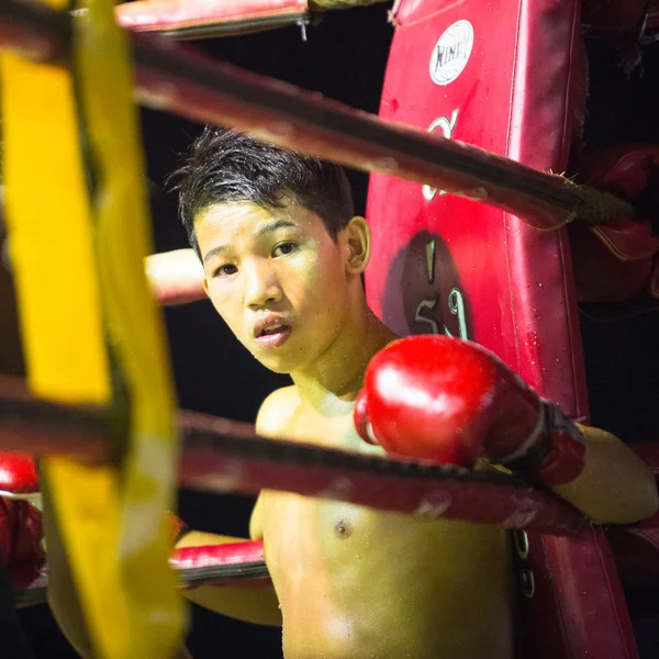 Chang, thailand - 22. Februar 2013: unbekannter junger Muaythai-Kämpfer im Ring während eines Kampfes, 22. Februar 2013 auf chang, thailand — Stockfoto