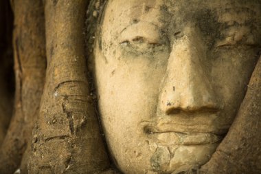 Buda wat mahathat, ayutthaya, Tayland'ın yakın çekim başkanı.
