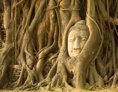 The Head of Buddha in Wat Mahathat, Ayutthaya, Thailand clipart