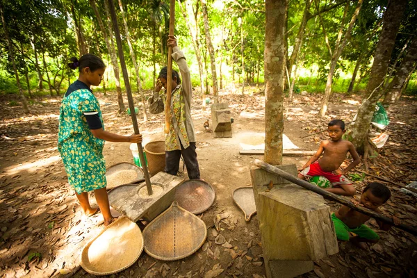 BERDUT, MALÁSIA - APR 8: Mulher não identificada Orang Asli thresh rice to remove chaff on Apr 8, 2013 in Berdut, Malaysia . — Fotografia de Stock