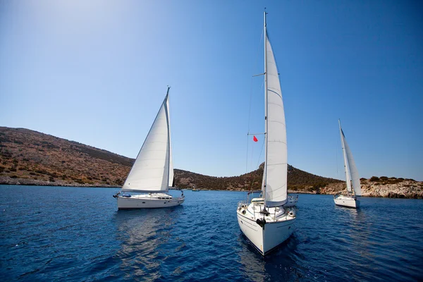 Yelkenli yarışı.