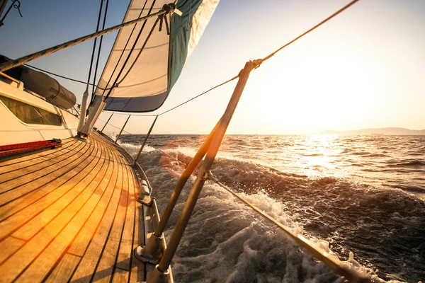 Régate de voile, au coucher du soleil . Images De Stock Libres De Droits