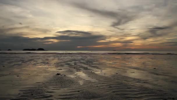 Young woman jogging at sunset on the seashore — Stock Video