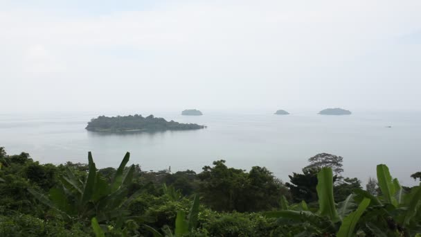 Plantele verzi, copacii și insula Ko Chang, Thailanda — Videoclip de stoc