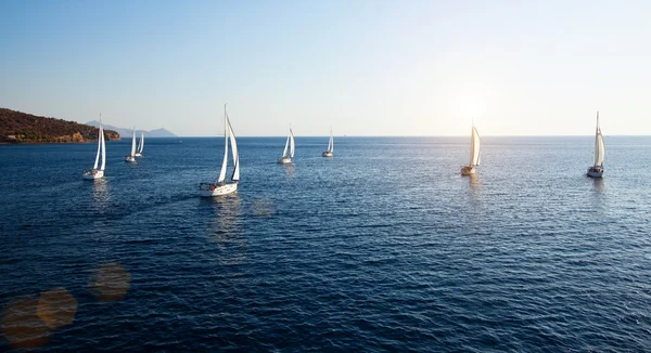 Sailing regatta, panorama — Stock Photo, Image