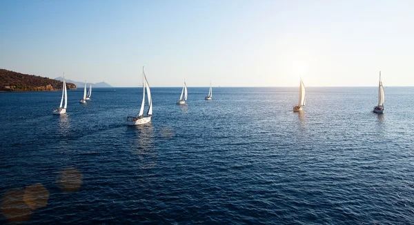 Regata de vela, panorama — Foto de Stock