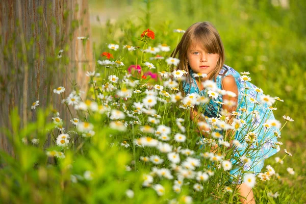 Charming little girl among yellow wildflowers Stock Image
