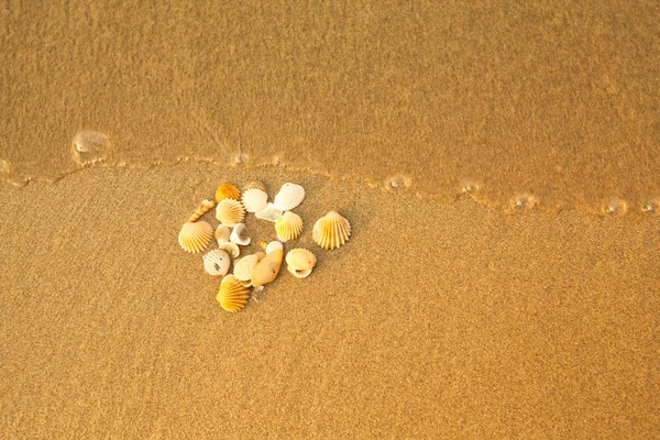 Textura de areia de praia e conchas do mar, com uma onda suave . — Fotografia de Stock