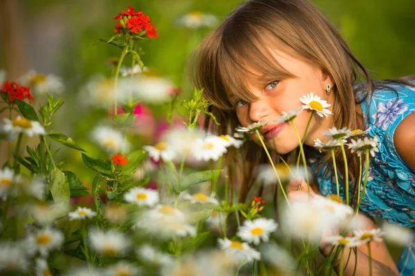 Little girl among wildflowers Royalty Free Stock Photos