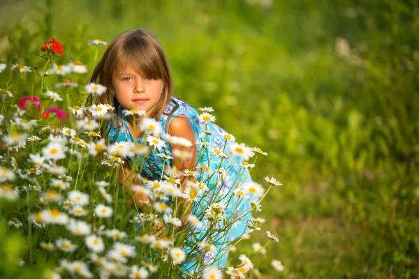 Portrait of little girl among wildflowers Stock Photo