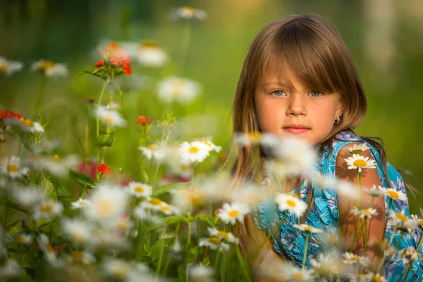 Liten flicka bland blommor — Stockfoto