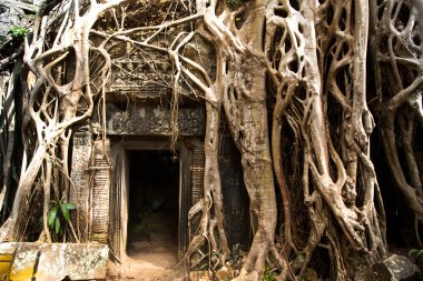 Angkor Wat Tapınağı