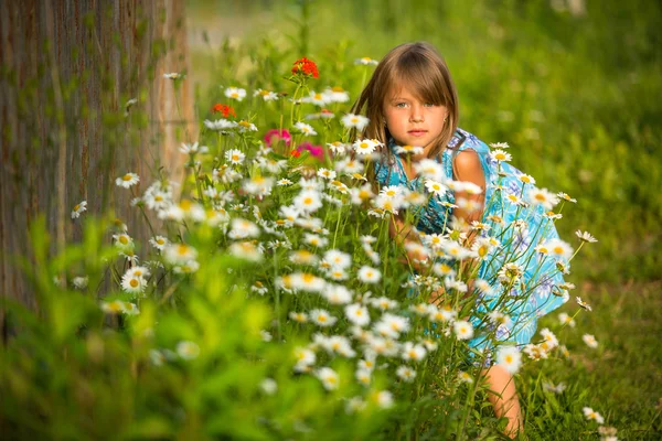 Little beautiful child outdoor among wildflowers Royalty Free Stock Images