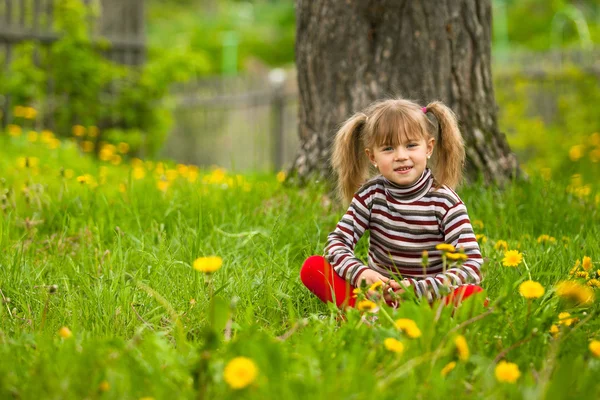 Schönes fünfjähriges Mädchen sitzt im Gras — Stockfoto