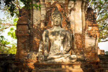 Buda heykeli Ayutthaya 'da